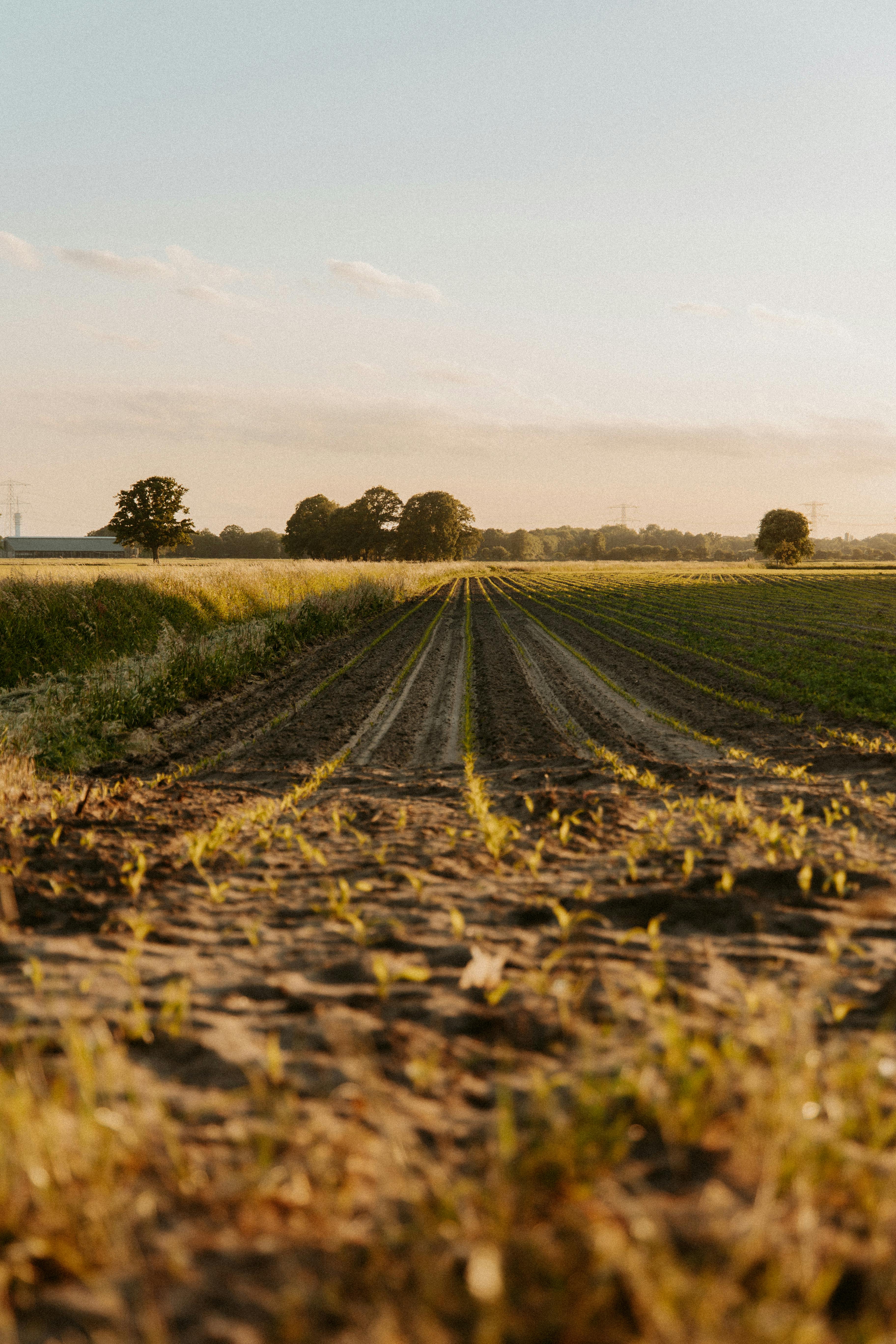 Star Team Group Farm Inputs and equipment